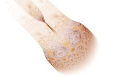 2015 3 07 Dark Days 037-white.jpg